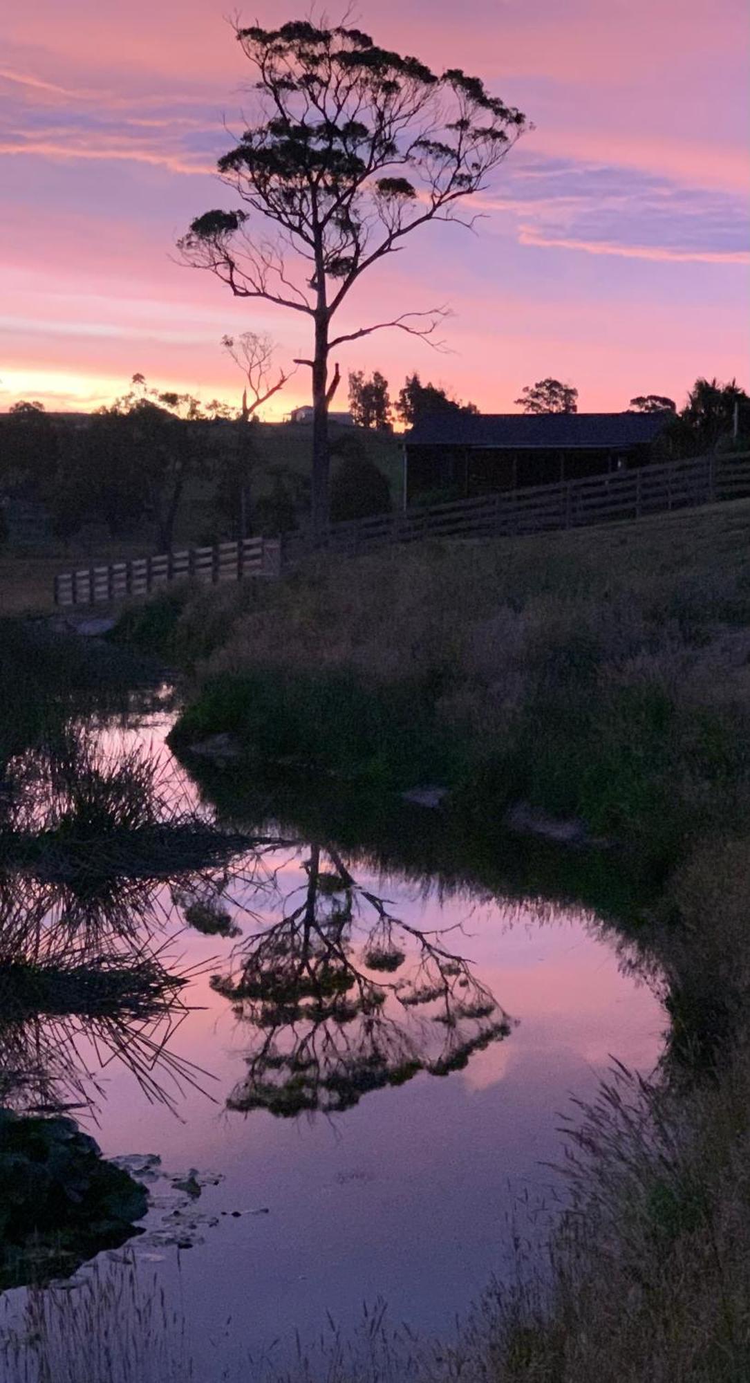Hazelcreek Cottages Exeter Buitenkant foto