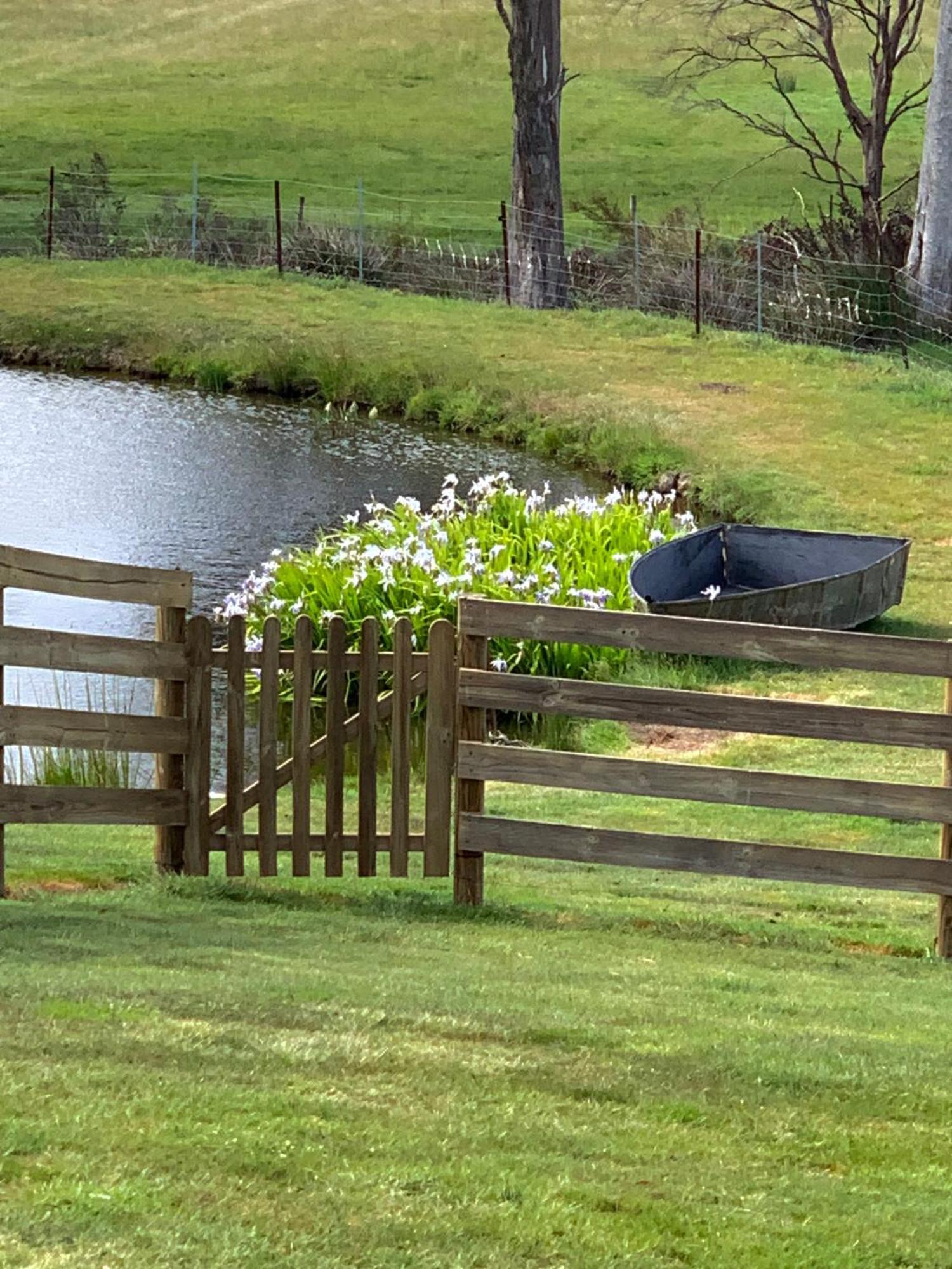 Hazelcreek Cottages Exeter Buitenkant foto