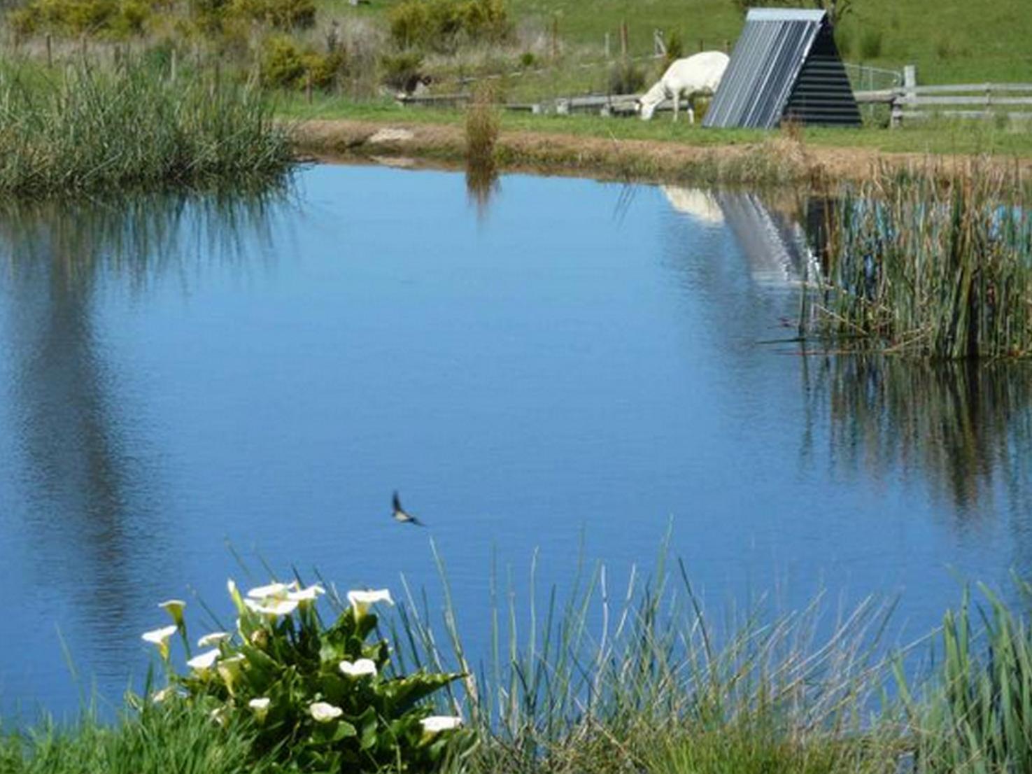 Hazelcreek Cottages Exeter Buitenkant foto