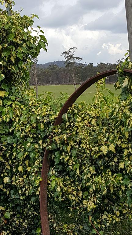 Hazelcreek Cottages Exeter Buitenkant foto