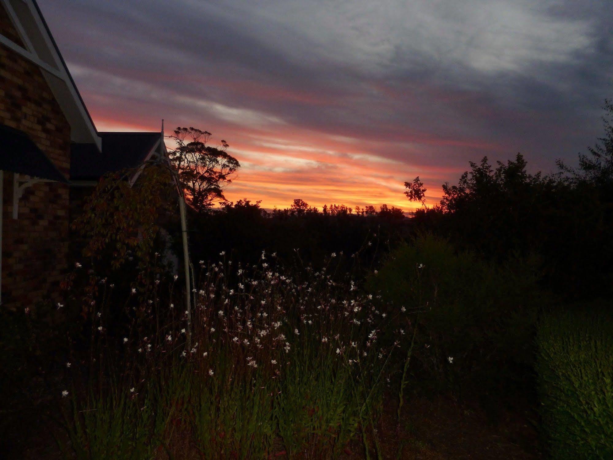 Hazelcreek Cottages Exeter Buitenkant foto